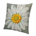 thumbnail image 1 of BANET  Throw Pillow Covers Flower Pattern Printing Pillowcases Spring Summer Cushion Case Decorative Cushion Cover Square Pillow Case for Farmhouse Home Office Sofa Car 20x20in, 1 of 5