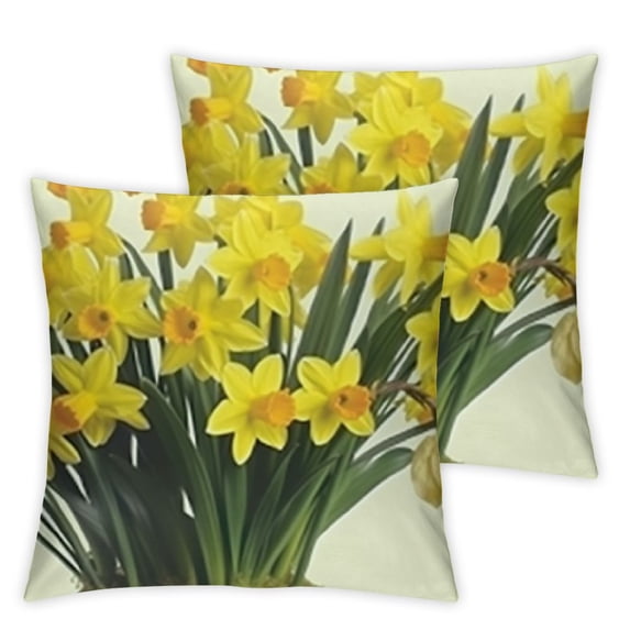 BANET Throw Pillow Cushion Cover Pack of 2, Close up Botanical Photo of Fresh and Narcissus on Plain Backdrop, Zippered Double-Side Digital Print Decor, Yellow Green 18x18in