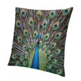 thumbnail image 1 of BANET Throw Pillow Cushion Cover, of with Huge Grand Feathers Enchanted Plumage Image, Decorative Square Accent Pillow Case 12x12in, 1 of 5