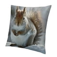 thumbnail image 1 of BANET  in The Snow-Pillow Case 12x12in, 1 of 5