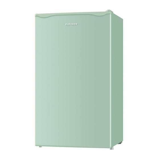 Mini Fridge with Freezer