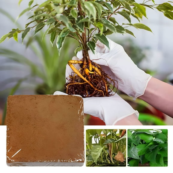 BANIRO Premium Coconut Coir Bricks,Coco Chips Substrate,100% Natural Organic Compressed Coconut Coir Fiber with PH Balance,High Nutrition Coconut Soil Coco Fiber for Planting,Herbs