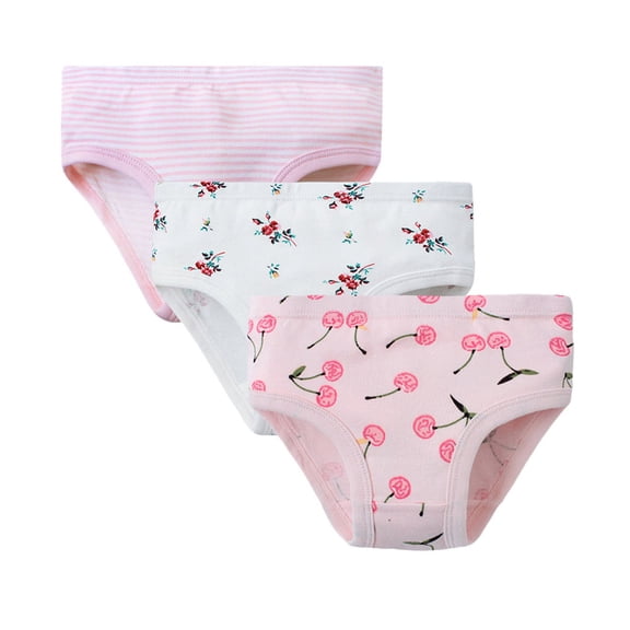 BAOAOER 4t Panties for Toddler Girls Toddler Potty Training Pants 4 Pack,Cotton Training Underwear Size 1-5T,Waterproof Underwear for Kids