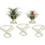 BAODELI Pack 5 Piece Gold Air Plant Holder Air Plants Holders Tillandsias Display Air Purifying Plant Container Air Fern Stand Geometric Decor for House, Wedding Party