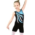 thumbnail image 1 of BAOHULU 3-12Y Female Gymnastics Leotards Girls Embroidery Blue Ballet Dancewear, 1 of 5