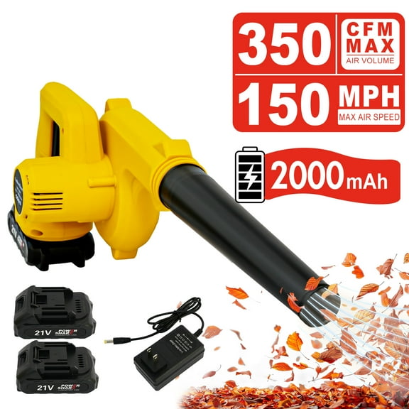 BAOKALER Cordless Mini Leaf Blower 20V Max Battery, Handle Electric Blower and Vacuum Cleaner with 2 Battery for Pet Hair,Crumb,Dust Cleaning
