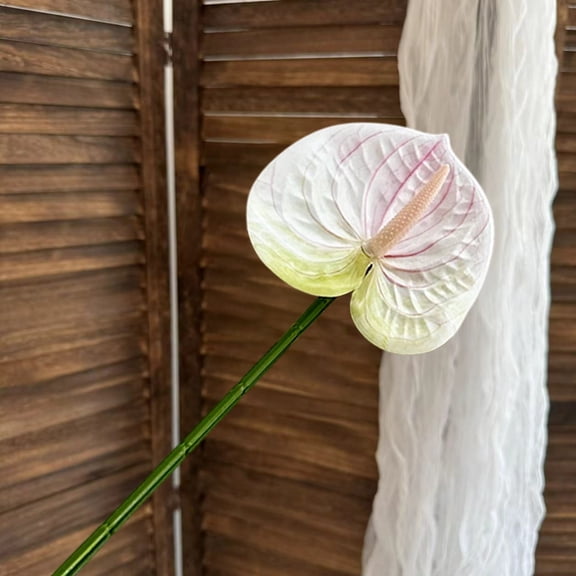 BAOPAI Anthurium Simulation Flower Fire Cranes Palm Wedding Hall Arrangement Home Decoration Simulation Greenerys Fake Flowers