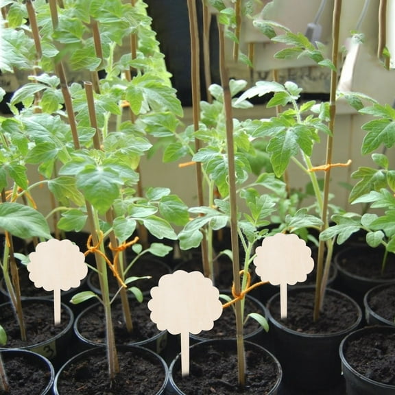 BAOPAI Creative Wooden Plant Labels for Gardening Easy to Write and Reusable Eye Catching Markers for Potted Plants and Gardens to Record Plant Growth 10 Pack