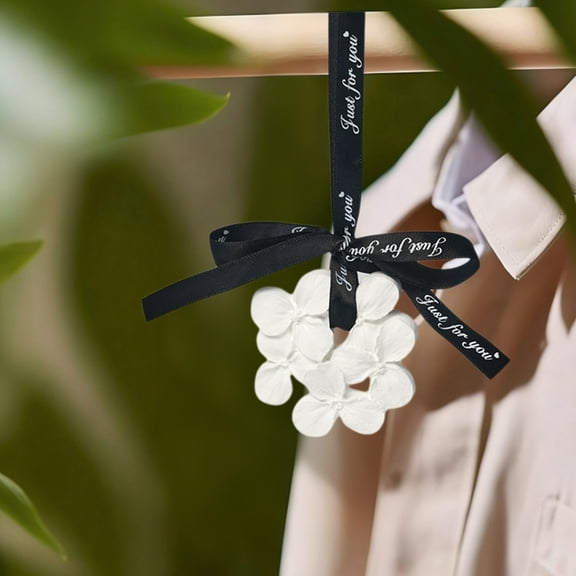 BAOPAI Floral Aromatherapy Gypsum Diffuser Stone with Black Ribbon for Home Decor Car Perfume and Wardrobe Freshener Long-Lasting Scent up to 120 Days