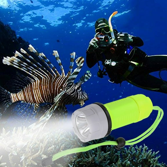 BAOPAI Heavy Duty Diving Flashlight Outdoor Underwater LED Light with 3 Lighting Modes and Convenient Tail Rope for Diving Hunting Cycling Camping Outdoor Adventures
