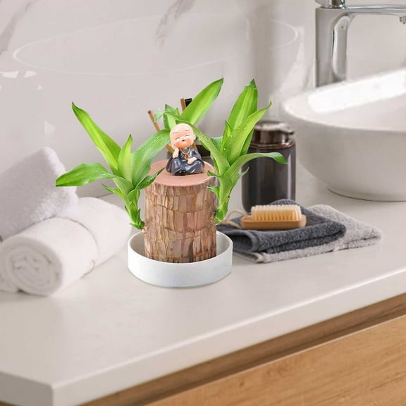 BAOPAI Mini Desktop Ornament Funny Little Monk with Simulation Bonsai for Office Home Decor Resin Art Leisure Style