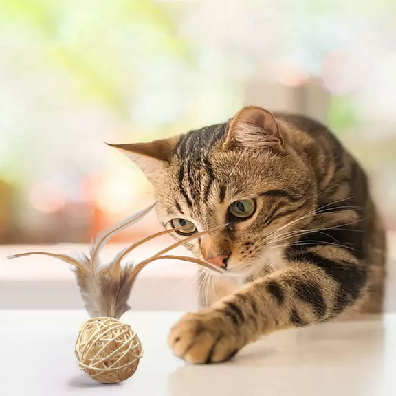 BAOPAI Natural Rattan Interactive Cat Toy with Bells Hand-Woven Chew Ball for Teeth Grinding Indoor Play for Cats and Kittens
