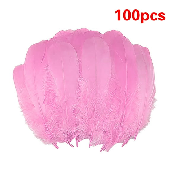 BAOQIN 100 Pcs Colorful Natural Feathers Rainbow for Crafts Diy Supply Masquerade, Angel Wings and Wedding Party, Home Decoration (Pink)