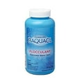 thumbnail image 1 of BAQUACIL Flocculant For Cloudy Pools, 1 of 3
