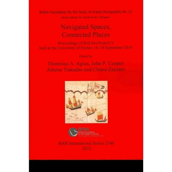 BAR International: Navigated Spaces, Connected Places (Paperback)