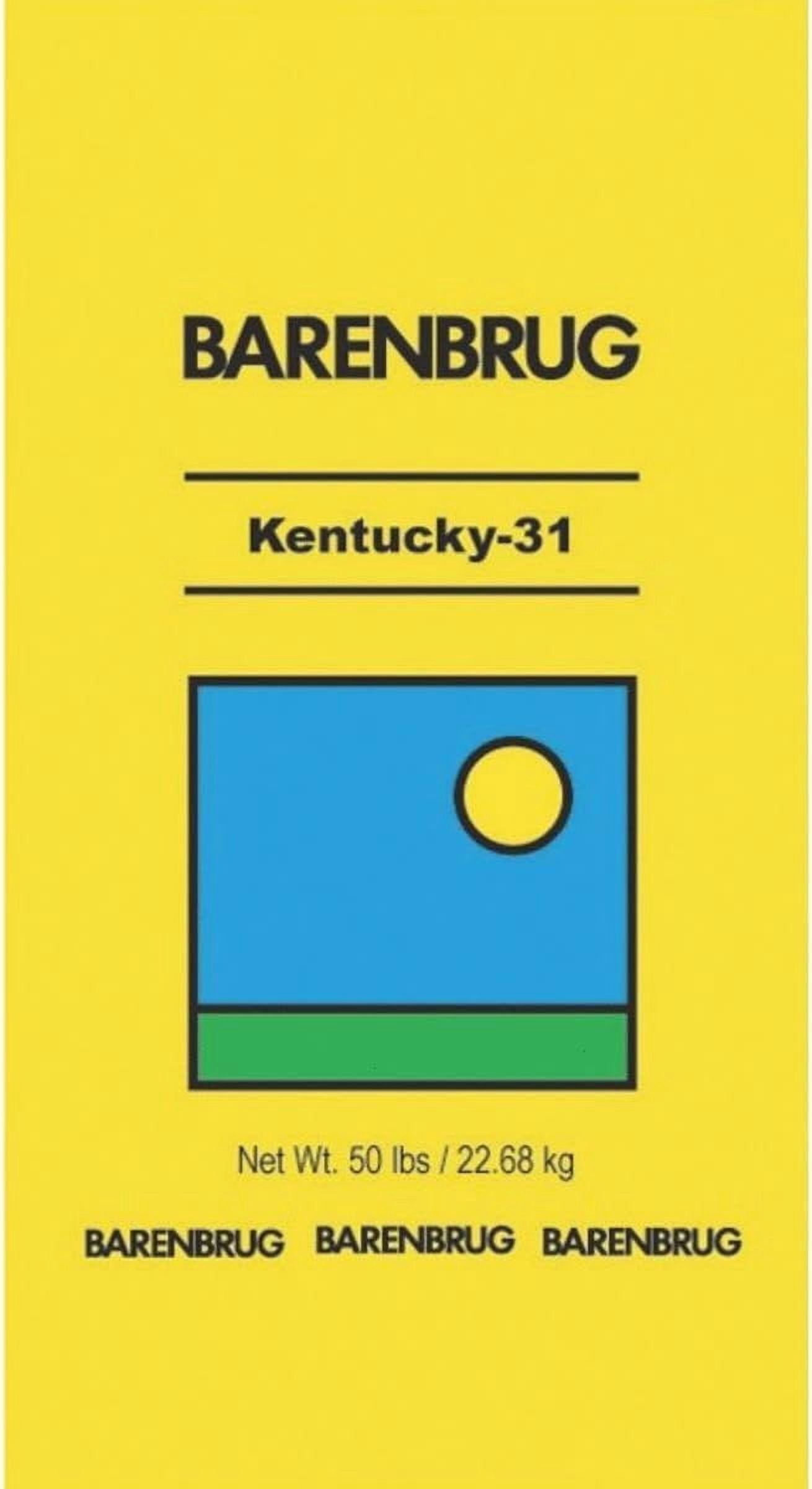 BARENBRUG U S A Tall Fescue
