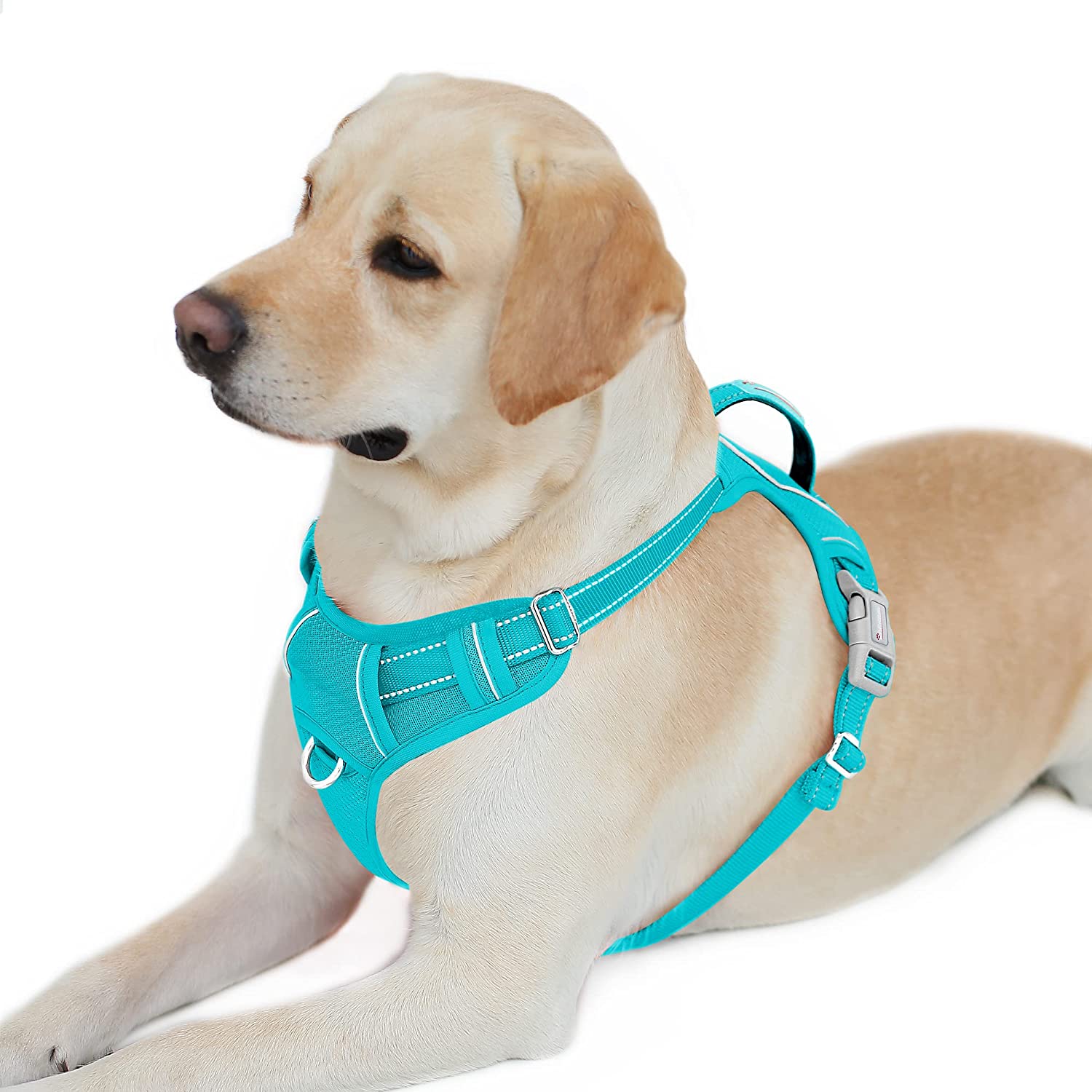 Bark bay harness sales