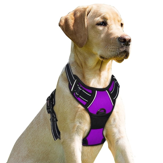 BARKBAY No Pull Dog Harness Front Clip Heavy Duty Reflective Easy Control Handle for Large Dog Walking(Purple,M)