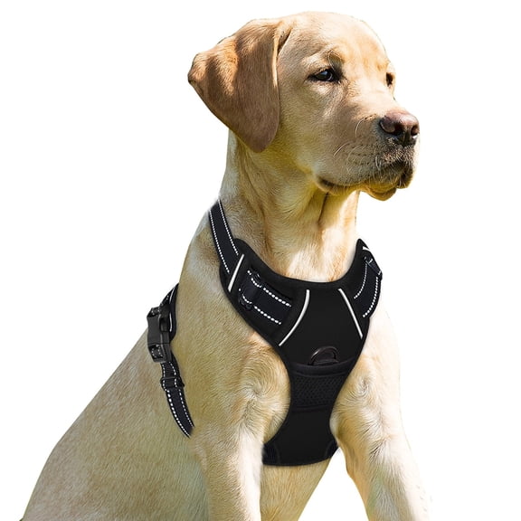 BARKBAY No Pull Dog Harness for Large Dogs with 2 Metal Leash Clips Reflective and Easy Control Handle for Walking Training Running Black,S