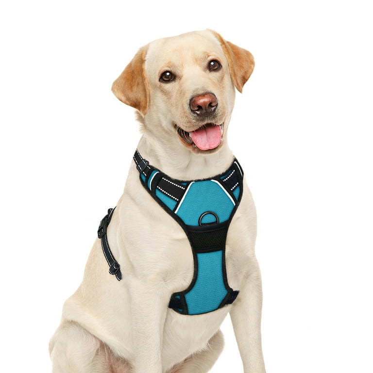 BARKBAY No Pull Dog Harness for Large Dogs with Metal Leash