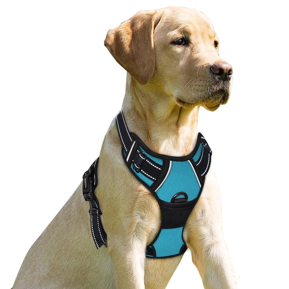 BARKBAY No Pull Dog Harness for Large Dogs with 2 Metal Leash Clips Reflective and Easy Control Handle for Walking Training Running Blue,M