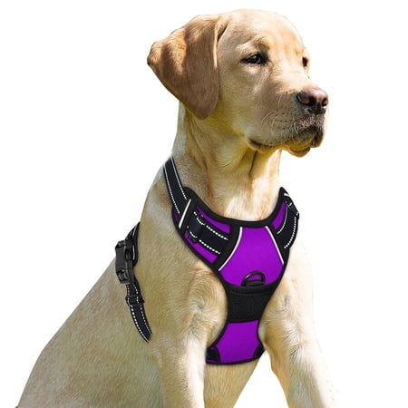 BARKBAY No Pull Dog Harness for Large Dogs with 2 Metal Leash Clips Reflective and Easy Control Handle for Walking Training Running Purple,S