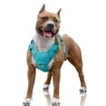 thumbnail image 1 of BARKBAY No Pull Dog Harness Large Reflective Dog Harness with Front Clip and Easy Control Handle for Walking Training Running with ID tag Pocket(Blue,L), 1 of 11