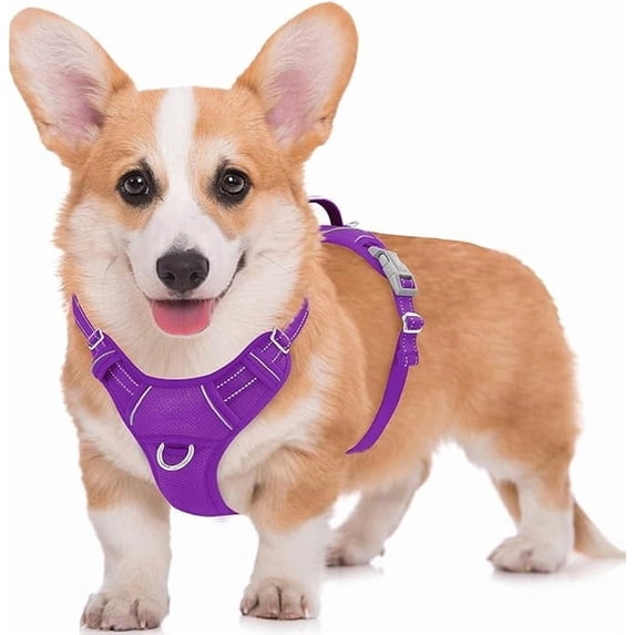 BARKBAY No Pull Dog Harness Large Reflective Dog Harness with Front Clip and Easy Control Handle for Walking Training Running with ID tag Pocket(Purple,M)