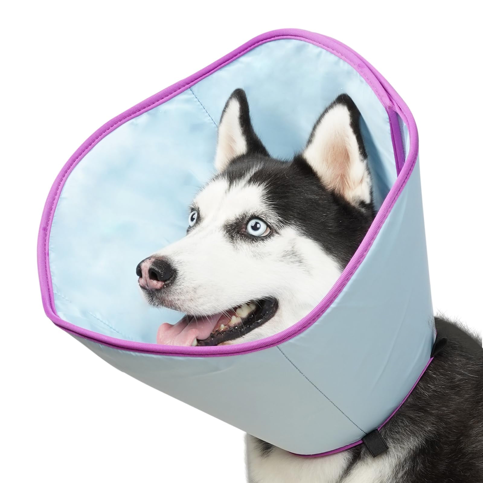 Neutered dog cone alternative online