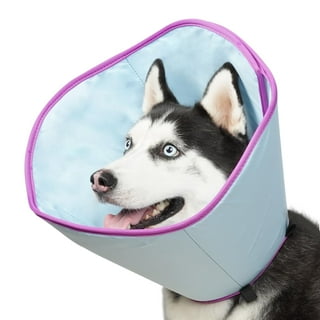 Dog Neuter Cone Alternatives