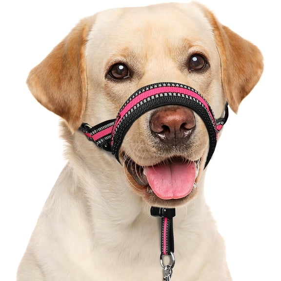 BARKLESS Soft Dog Head Collar, Patented Padded No Pull Head Halter, Training Nose Leash with Safety Link for Medium Large Dogs, Adjustable Muzzle Leash, Easy Control for Walking(Black, M)