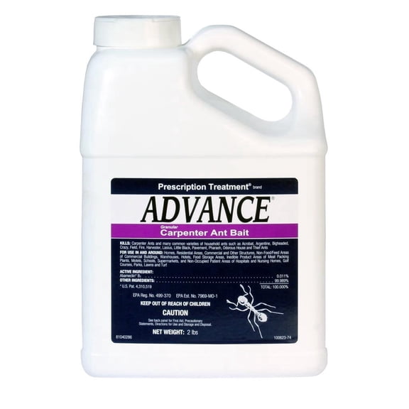 BASF Advance Carpenter Ant Bait Granules, Ready to Use Indoor or Outdoor, Attracts and Controls Ants, 2 lb.