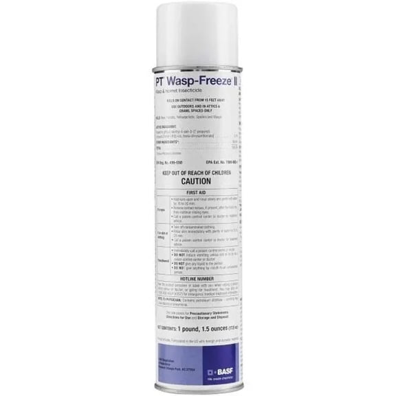 BASF Freeze II Hornets Spider Yellow Jackets, Wasp Insecticide Aerosol, 14 oz.