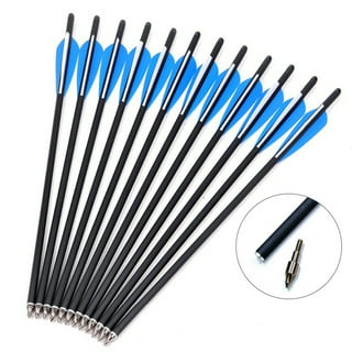 https://i5.walmartimages.com/seo/BASSTOP-Archery-Carbon-Arrow-20-Crossbow-Bolts-Arrow-with-TPU-4-vanes-and-Replaced-Arrowhead-Tip-Pack-of-12-Blue-White_f1d636cc-511c-49cf-a608-d39e88e8f3ce.21fbf129bdc4b1f96406909bc8b4ab38.jpeg?odnHeight=320&odnWidth=320&odnBg=FFFFFF