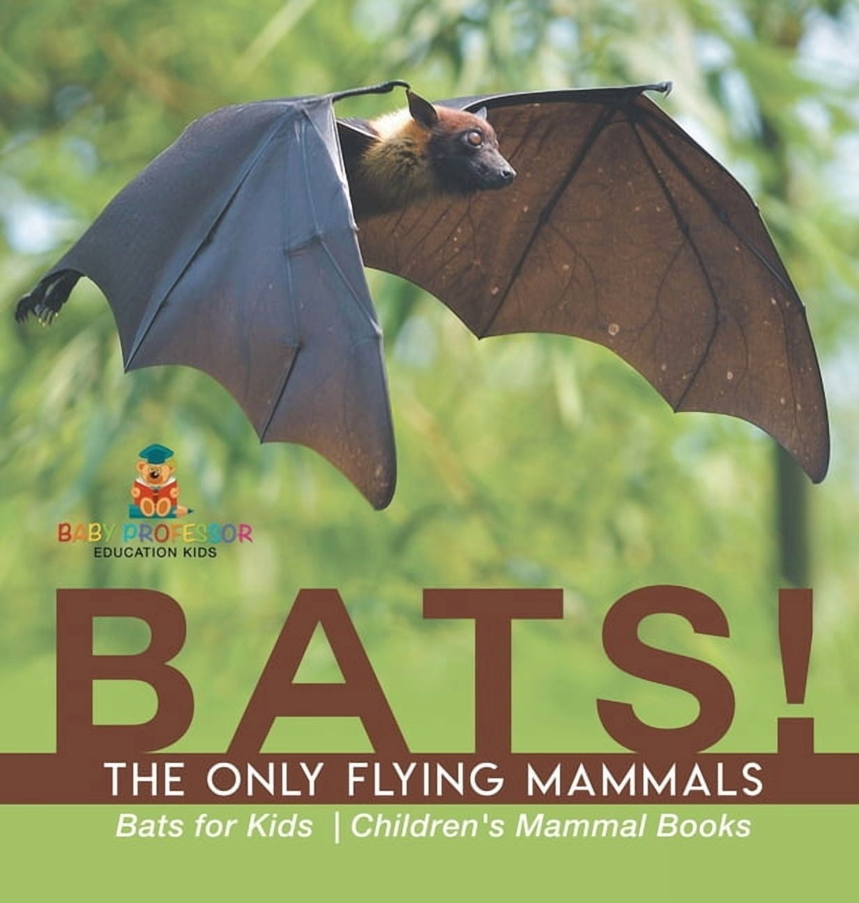 BATS! The Only Flying Mammals Bats for Kids Children's Mammal Books ...