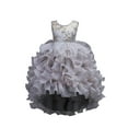 thumbnail image 1 of BAYAIXZ Tulle Sequins Glitter Dress Kids Children Toddler Baby Girls Spring Summer for Performance Children formal Clothes Cute Girls Bow Dresses Christmas Party Princess Dress (Gray,110), 1 of 4