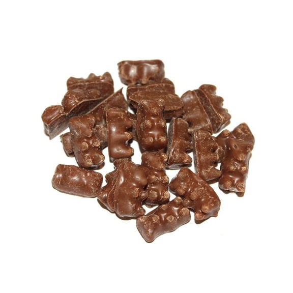 BAYSIDE CANDY CHOCOLATE COVERED GUMMI BEARS, 1LB