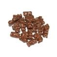 thumbnail image 1 of BAYSIDE CANDY CHOCOLATE COVERED GUMMI BEARS, 5LBS, 1 of 1