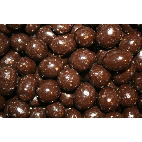 BAYSIDE CANDY DARK CHOCOLATE PEANUTS, 1LB
