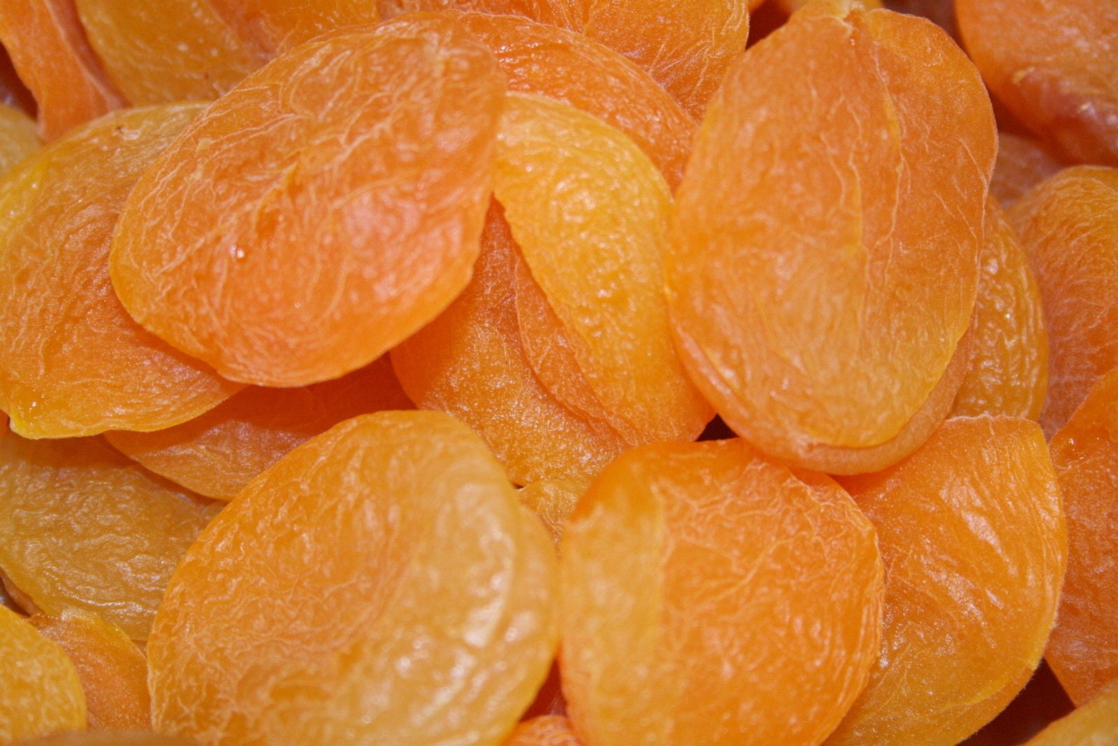BAYSIDE CANDY DRIED APRICOTS TURKISH, 5LBS