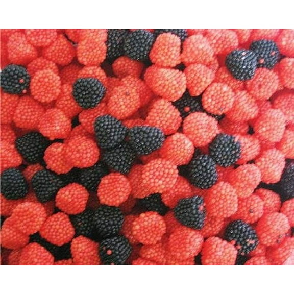 BAYSIDE CANDY HARIBO RASPBERRIES GUMMY CANDY, 1LB