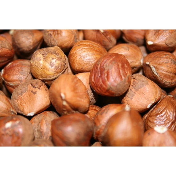 BAYSIDE CANDY HAZELNUTS (FILBERTS) RAW UNSALTED, 2LBS