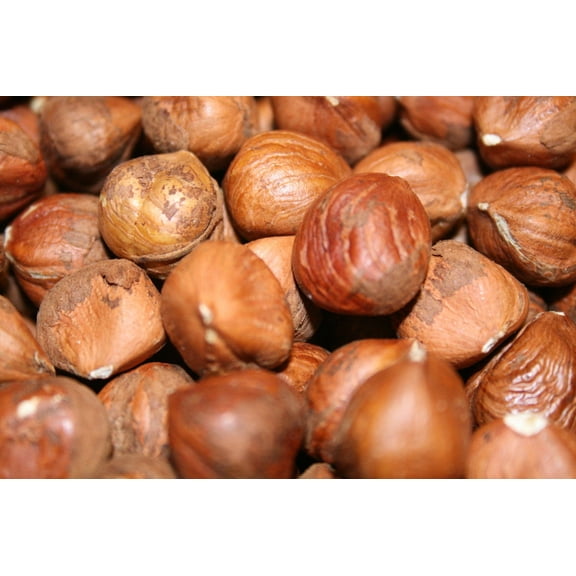 BAYSIDE CANDY HAZELNUTS (FILBERTS) RAW UNSALTED, 5LBS