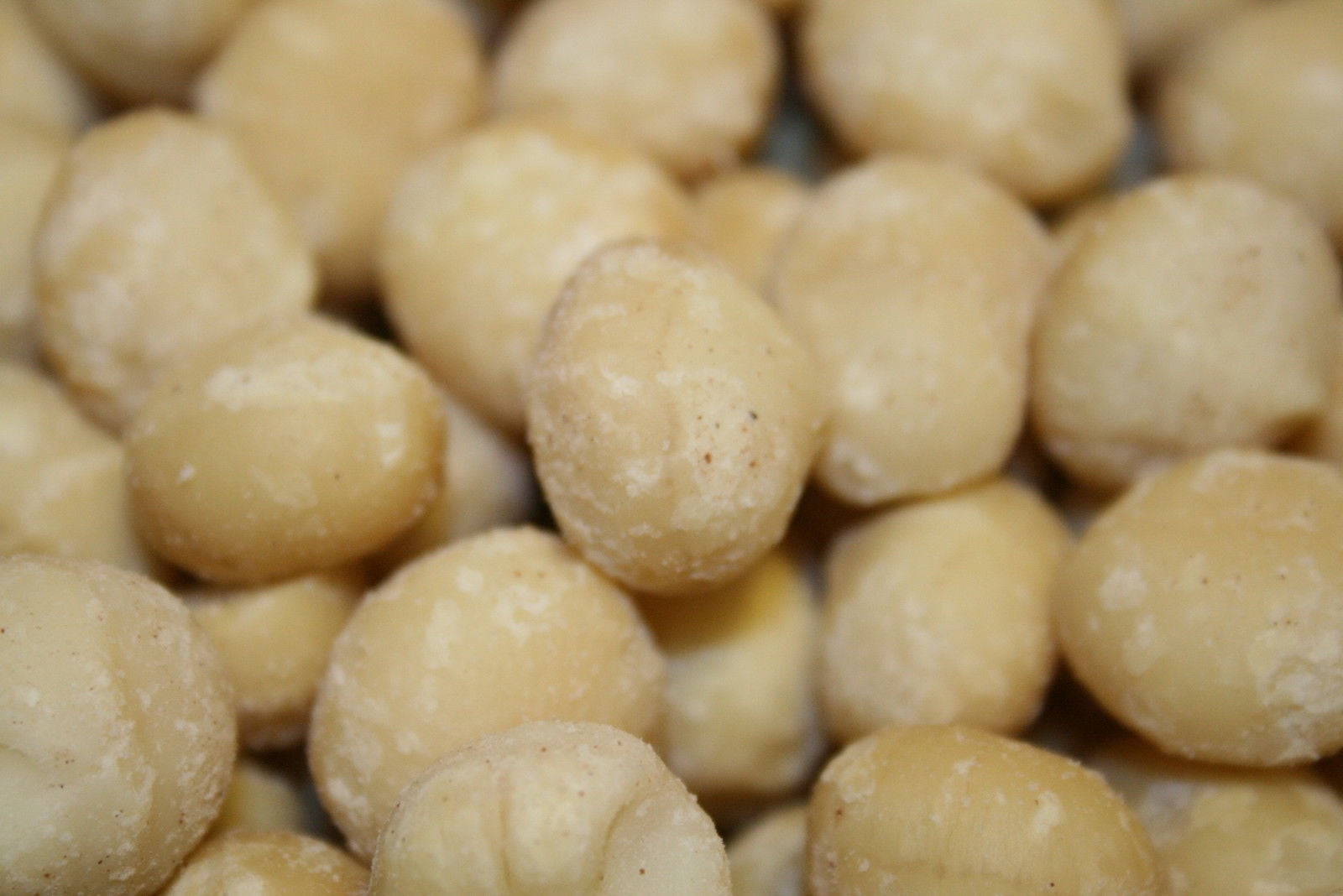 BAYSIDE CANDY MACADAMIA NUTS RAW UNSALTED, 1LB