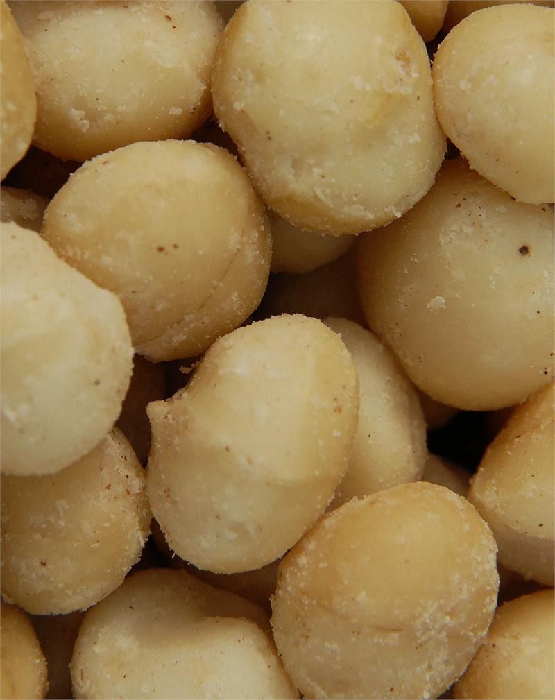 BAYSIDE CANDY MACADAMIA NUTS ROASTED SALTED, 5LBS
