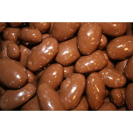 BAYSIDE CANDY MILK CHOCOLATE ALMONDS, 1LB