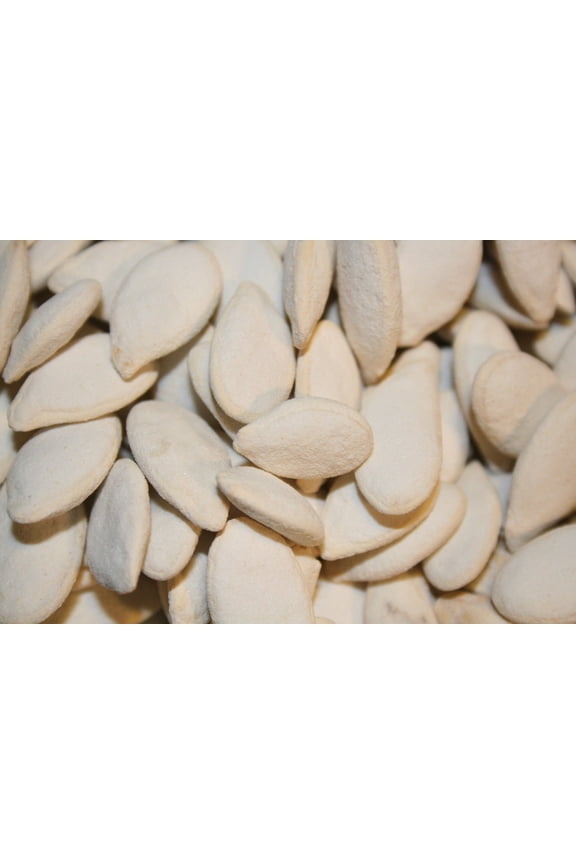 CANDY PUMPKIN SEEDS IN SHELL ROASTED SALTED, 2LBS