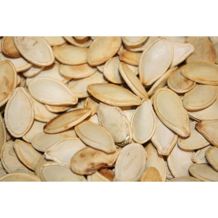BAYSIDE CANDY PUMPKIN SEEDS IN SHELL ROASTED UNSALTED, 1LB