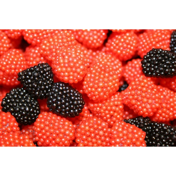 BAYSIDE CANDY RASPBERRIES GUMMY CANDY, 5LBS