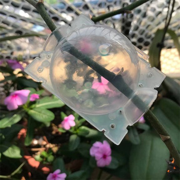 BAYUELSWU Air Layering Pod, Transparent Propagation Ball, Fast Propagation Tree Tubes Plant Propagation Station for Trees, Flowers (M)
